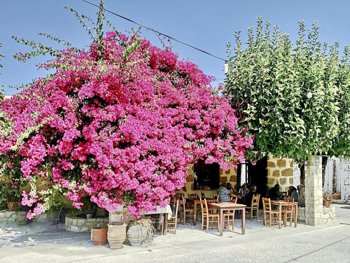 Villa Artemis Vryses Crete Alíkambos Exterior foto